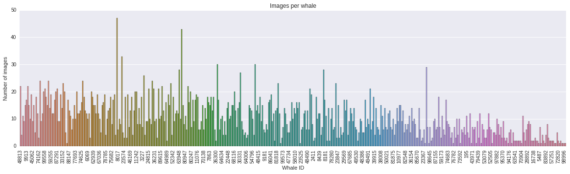 Images per whale